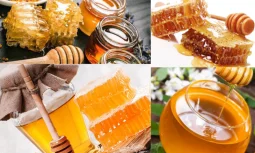 Turkish Honey Neden Özel Bir Tat Sunar?