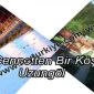 CENNETTEN BİR KÖŞE: UZUNGÖL